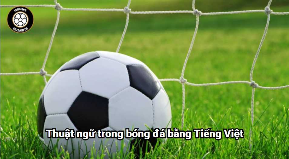 Thuật ngữ trong bóng đá bằng Tiếng Việt